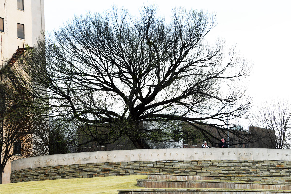 013 the Survivor Tree at the Oklahoma City Memorial.JPG